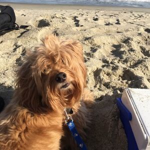 Meet your Posher, Elaine